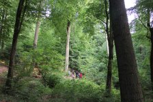 53_gc_stammtisch_50_20150506